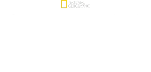Chinas Geschichte von oben