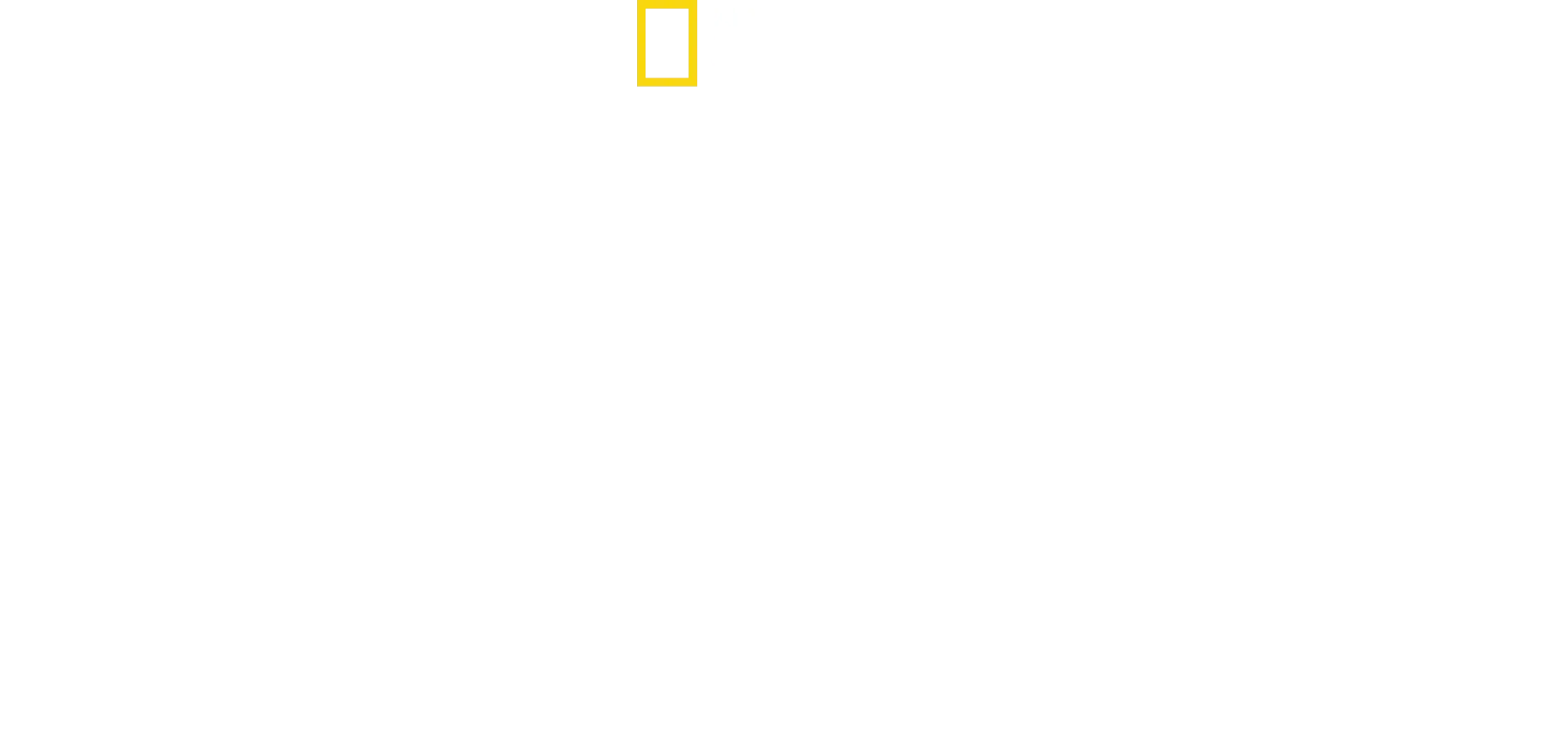 Chinas Geschichte von oben