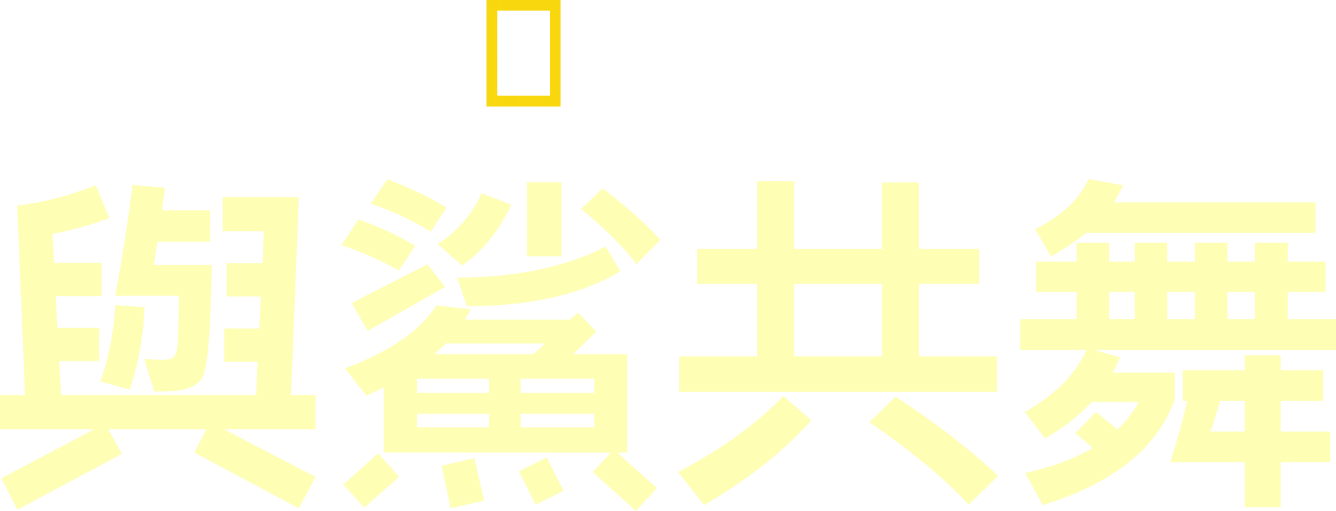 與鯊共舞