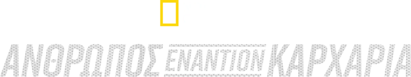Άνθρωπος εναντίον Καρχαρία