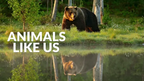 thumbnail - Animals, They're Just Like Us!