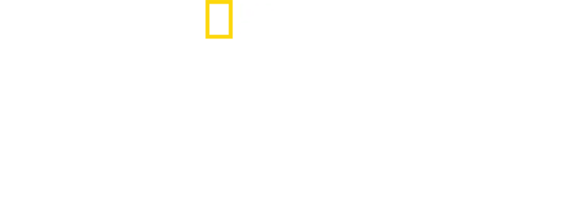 NASA盗難事件：狙われた月の石