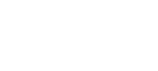 Kung Fu Dunk