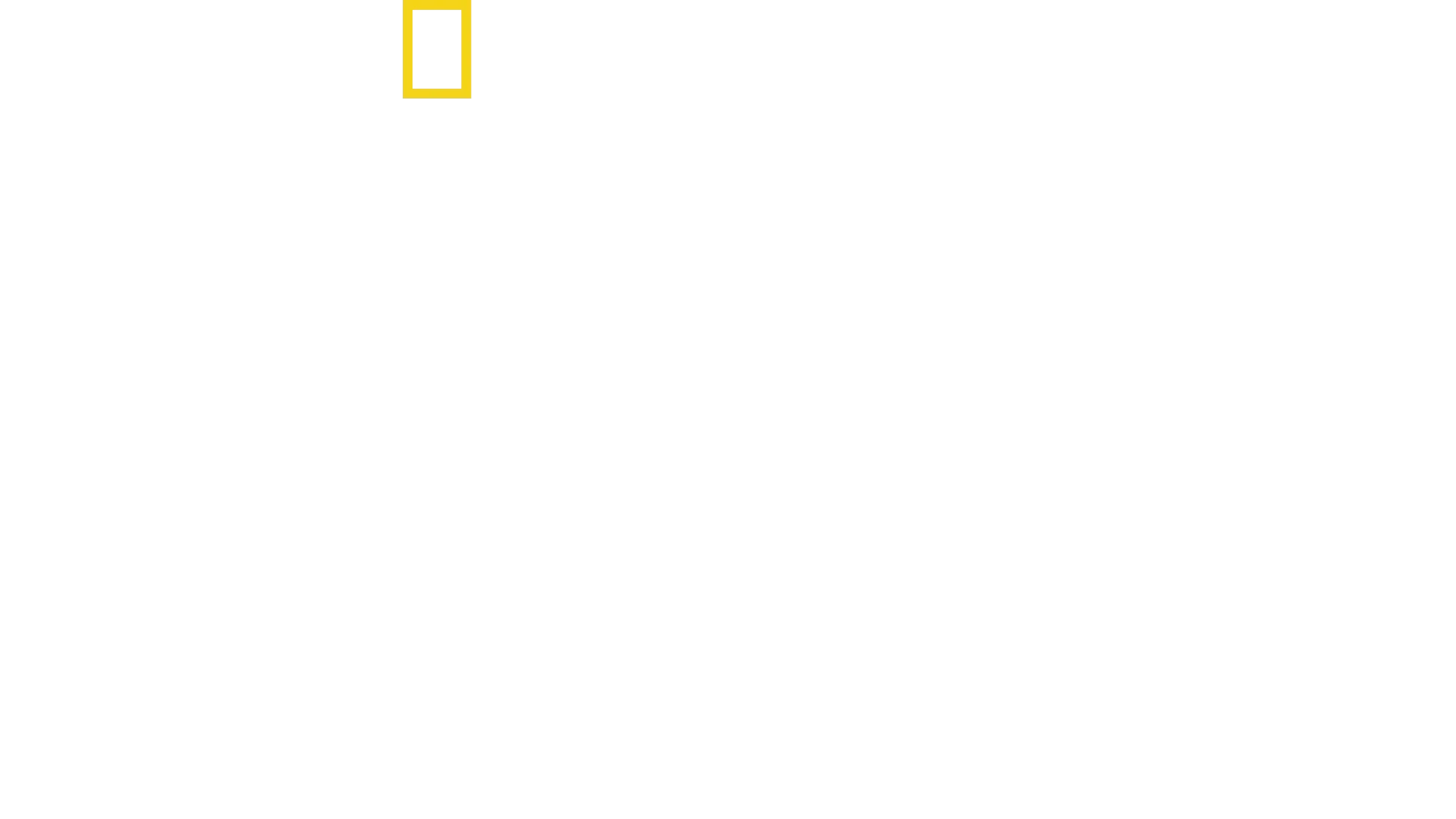 The Story of God