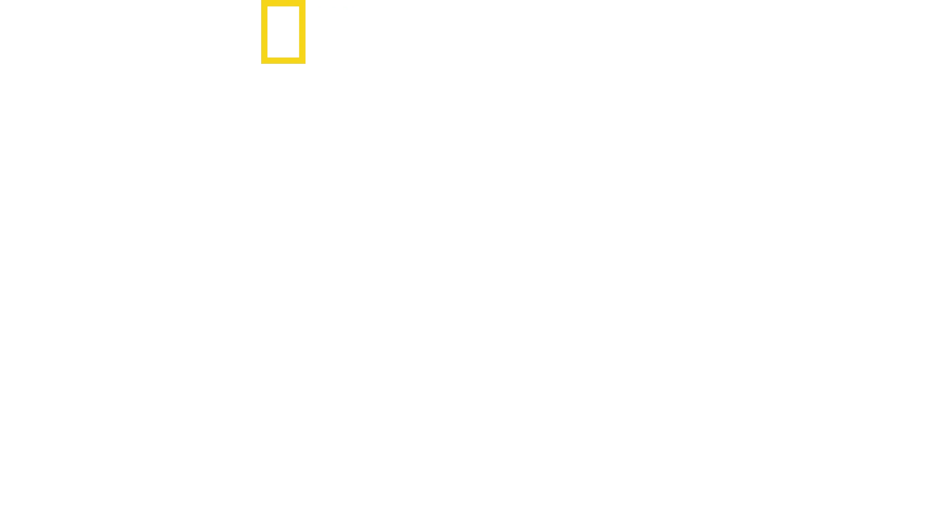 The Story of God