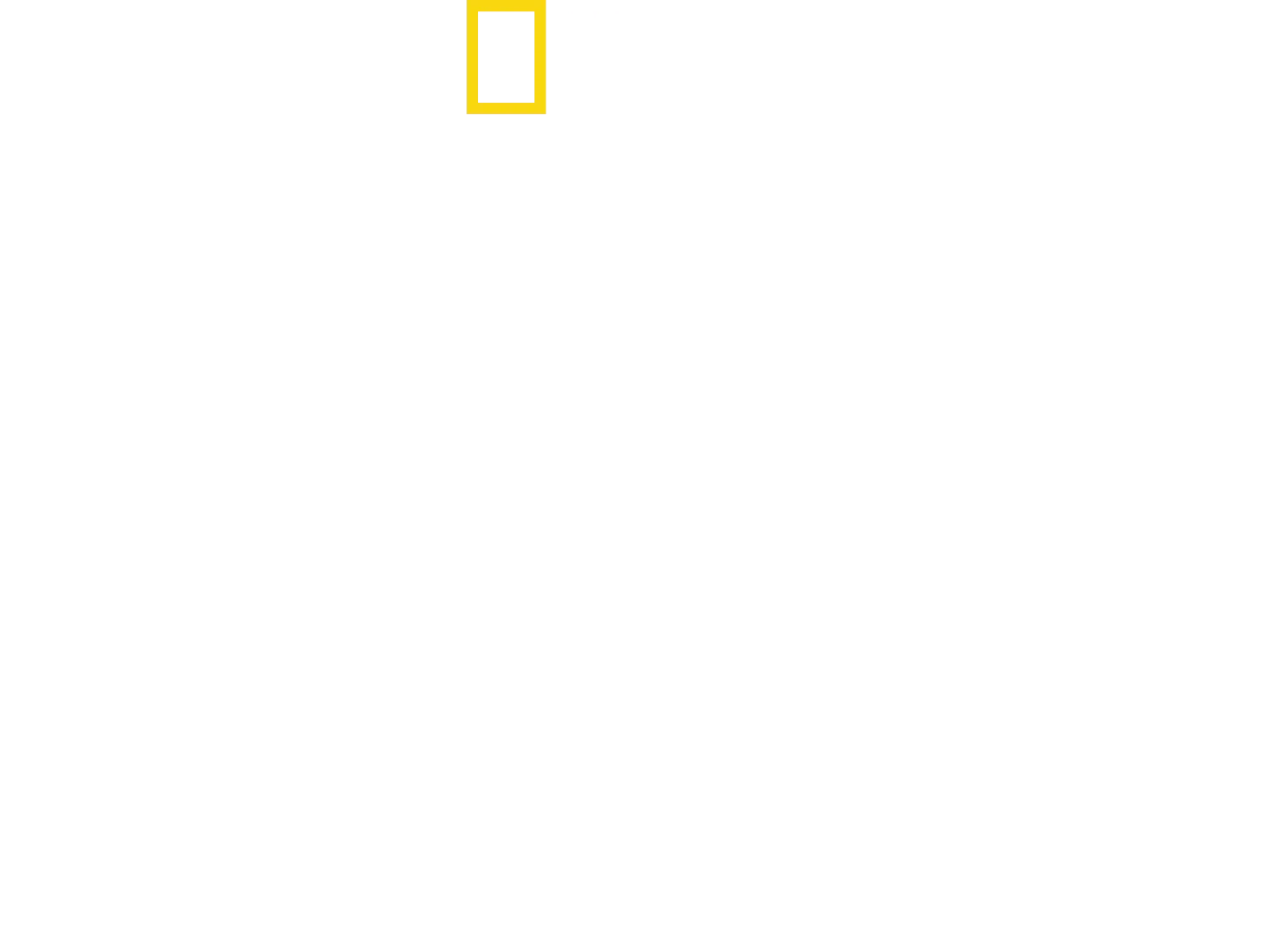 The Story of God