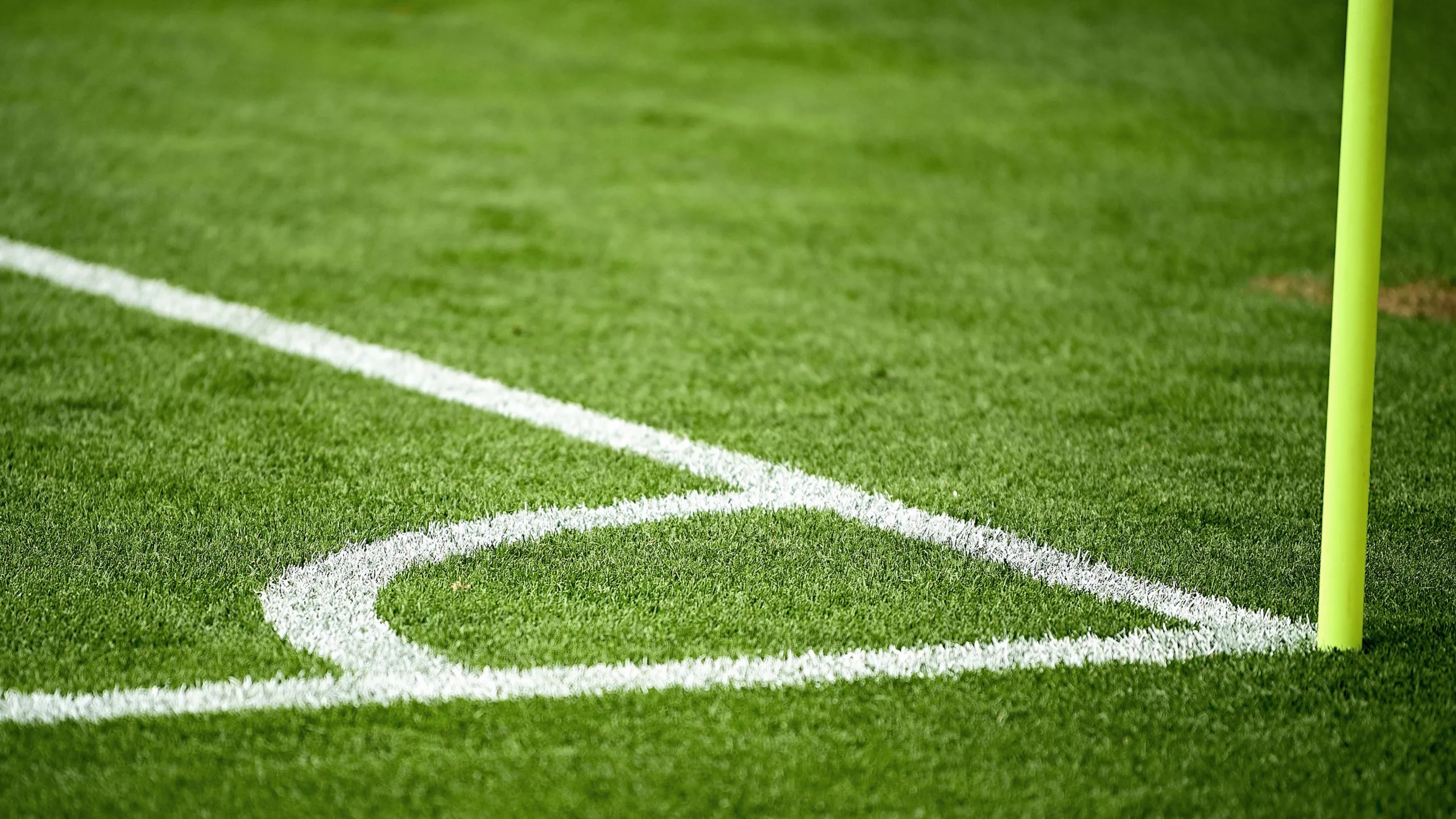 US Virgin Islands x Puerto Rico