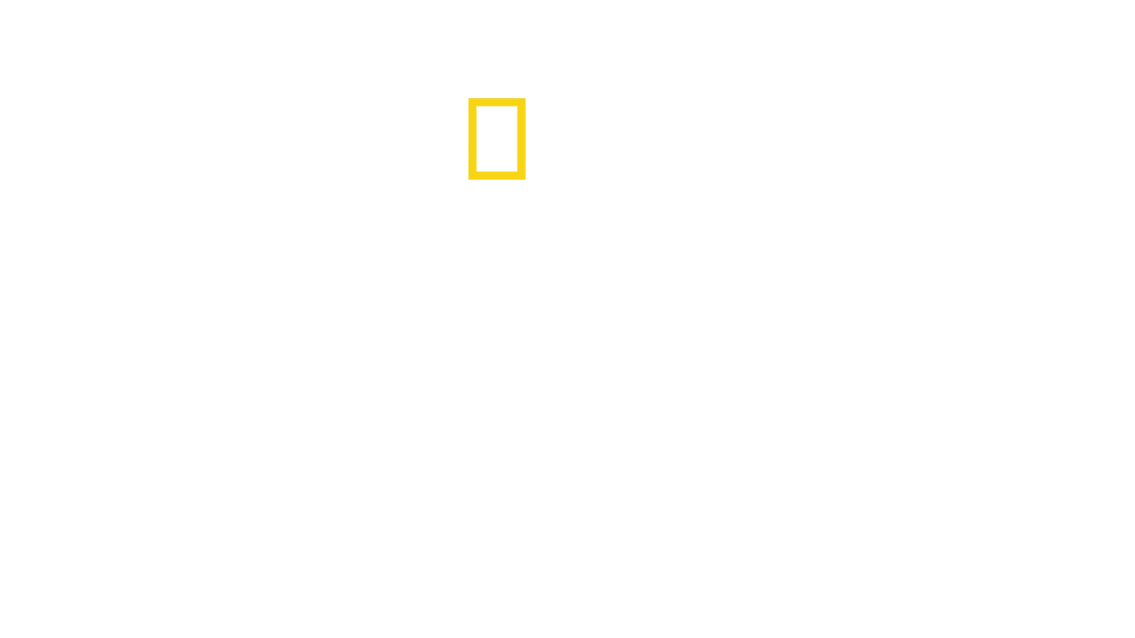 野蛮王国
