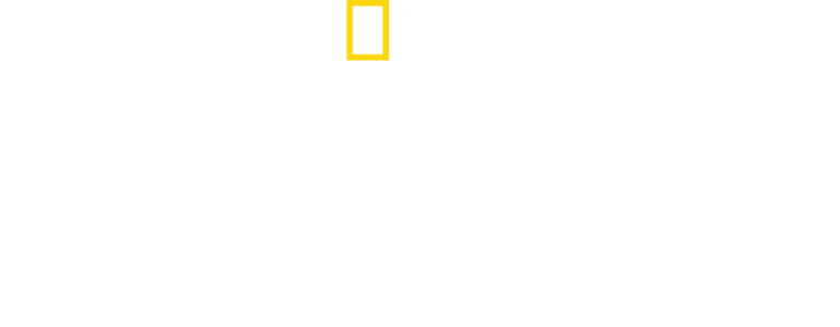 野蛮王国