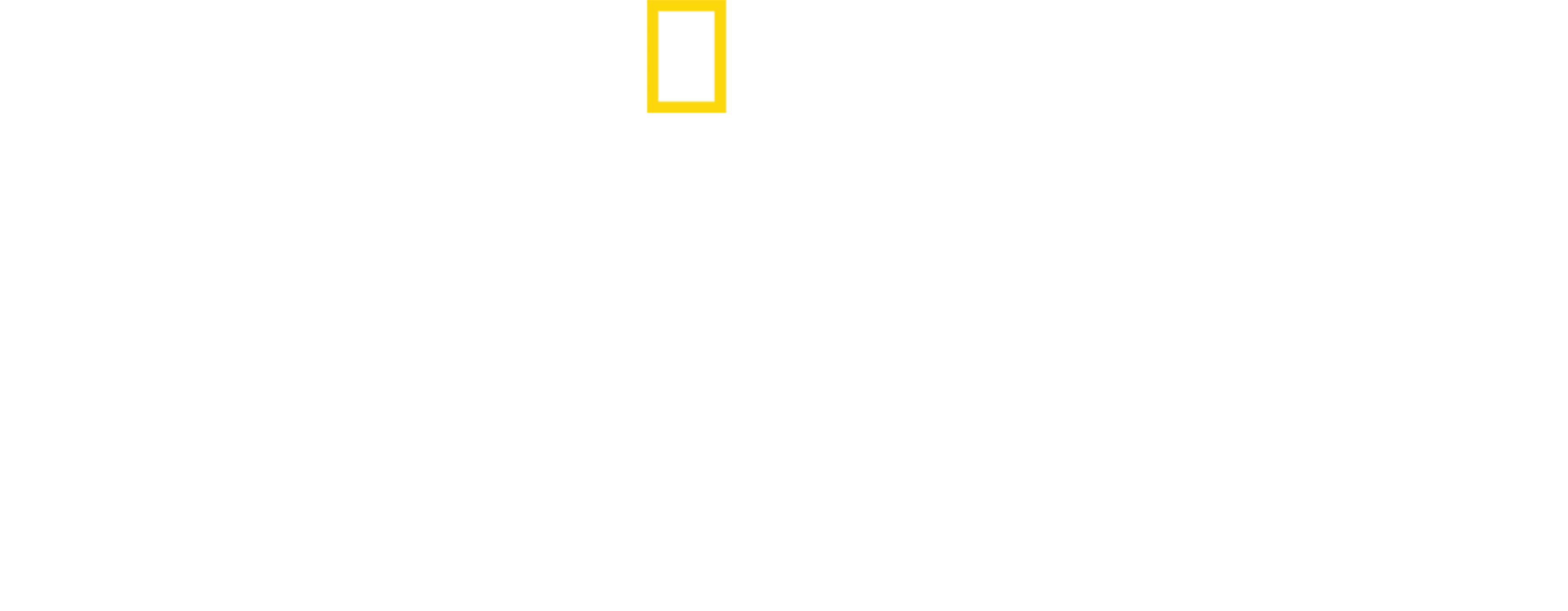 野蛮王国