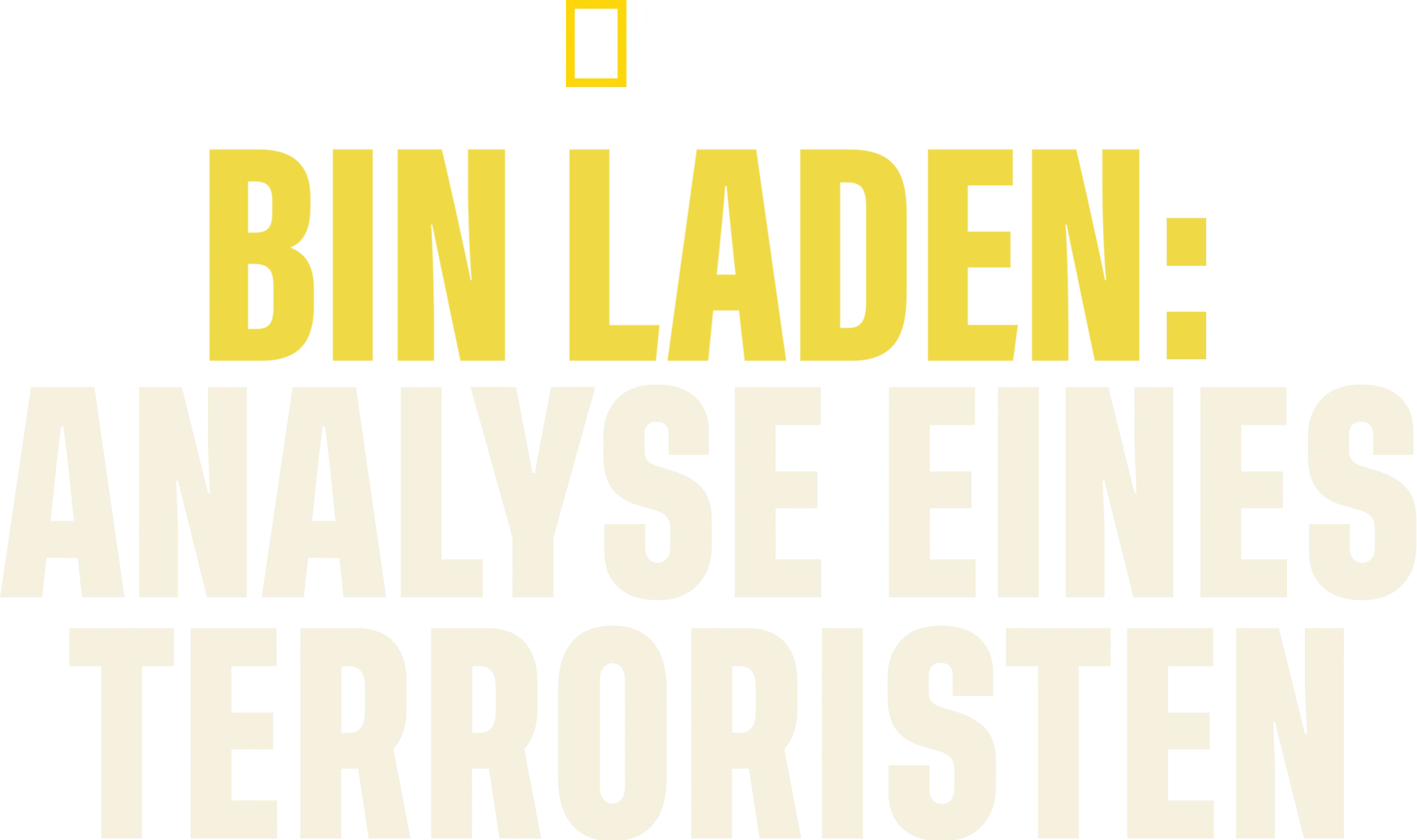 Bin Laden: Analyse eines Terroristen