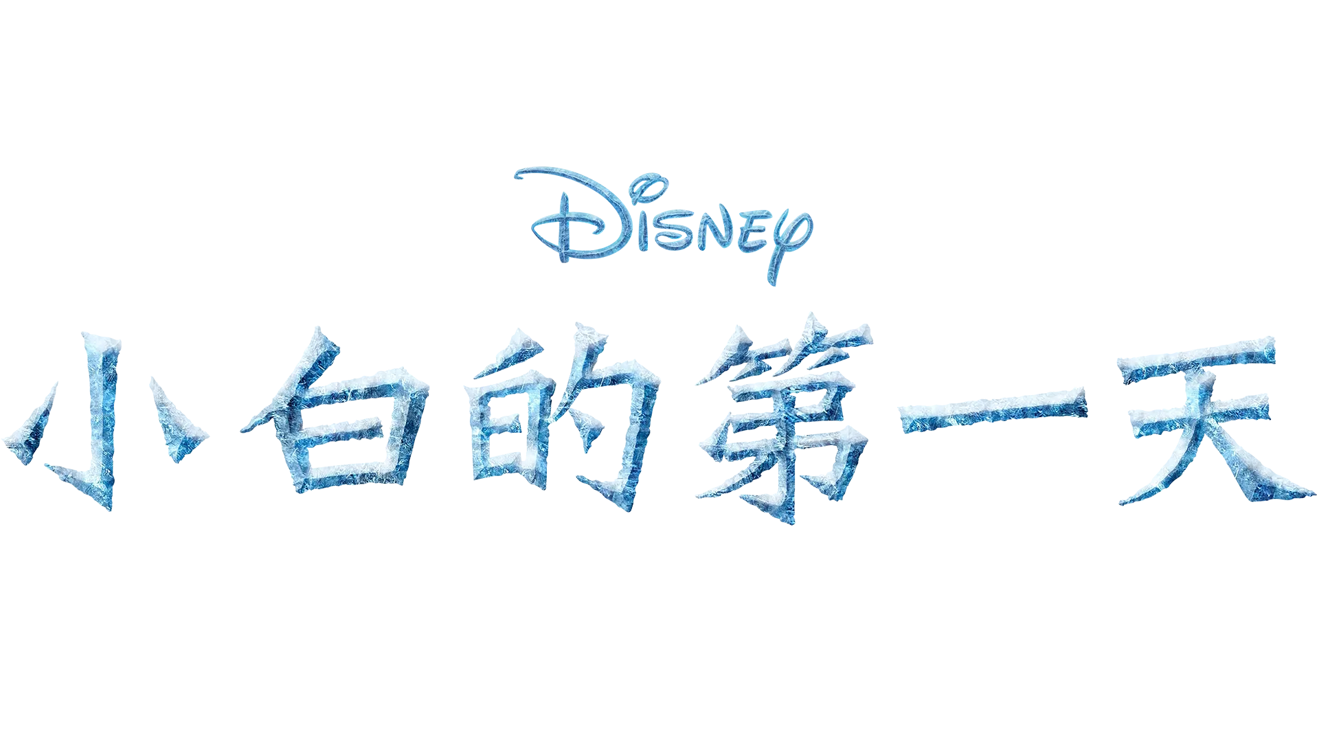 小白的第一天