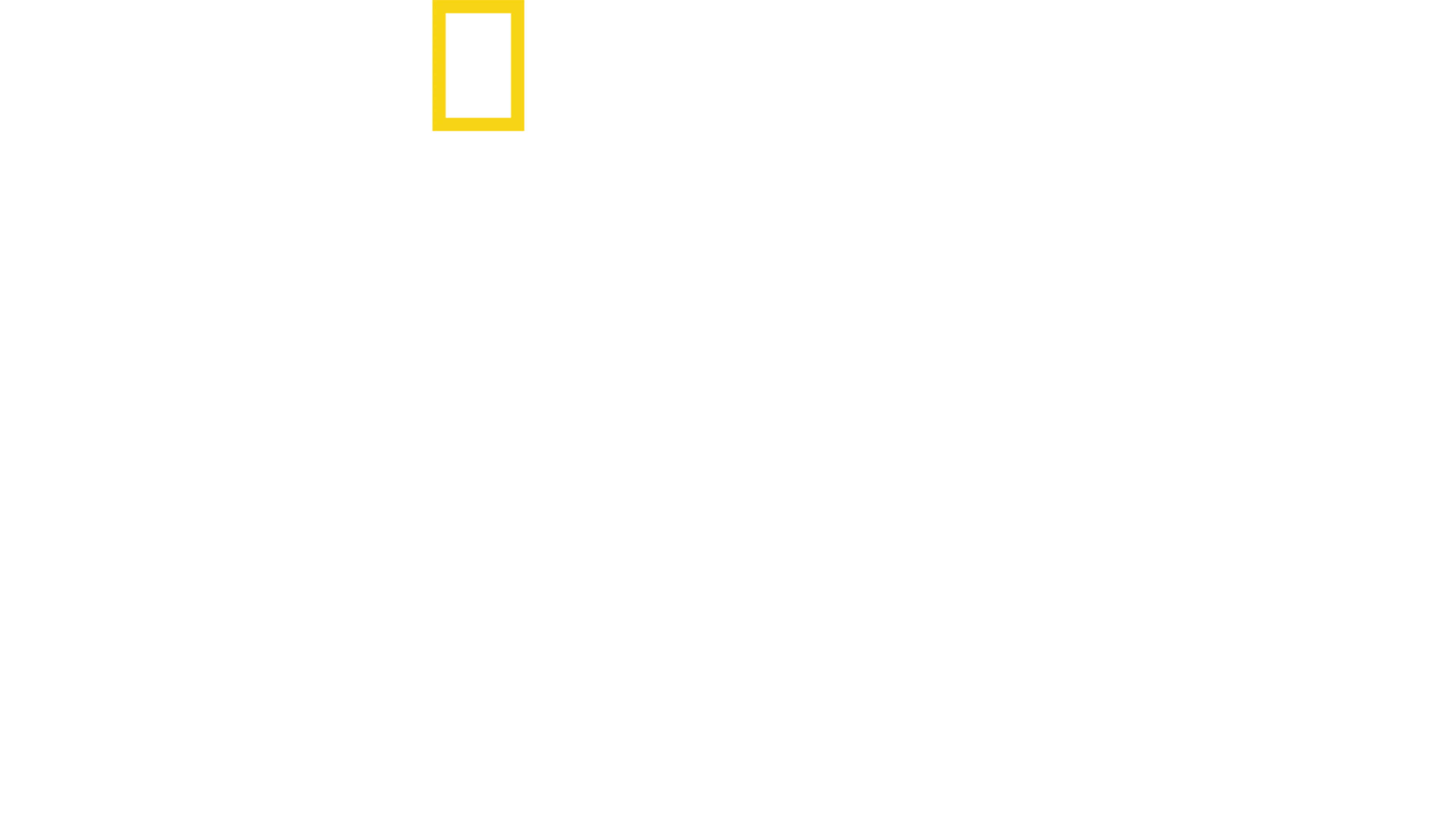 Λαθρέμποροι Εναντίον Τελωνειακών