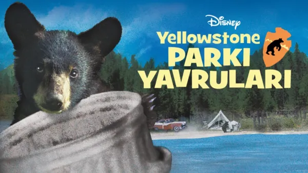 thumbnail - Yellowstone Parkı Yavruları