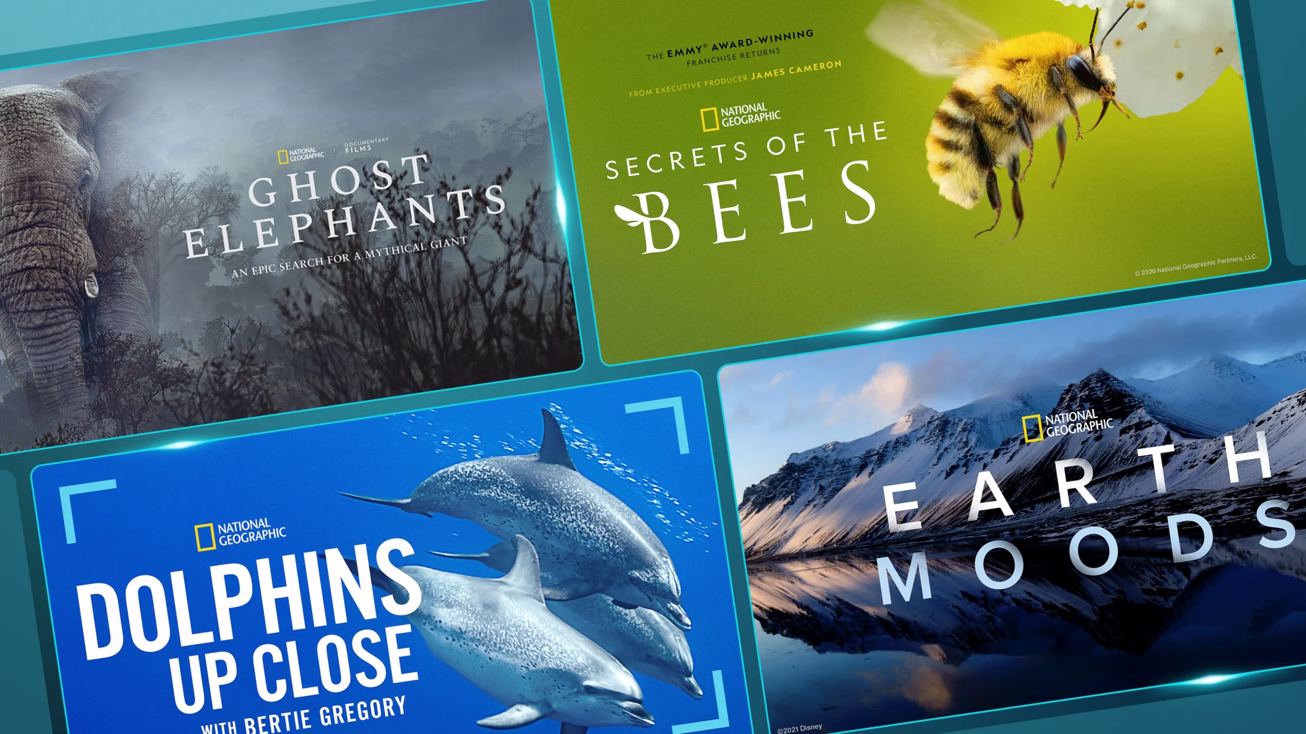 Promotional hero image for the article NatGeo: What to Watch for Earth Month, featuring key arts for Secrets of the Bees, Dolphins Up Close, Earth Moods, and Ghost Elephants.