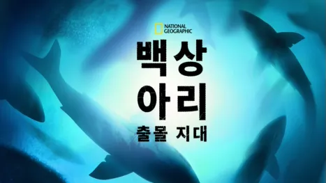 thumbnail - 백상아리 출몰 지대