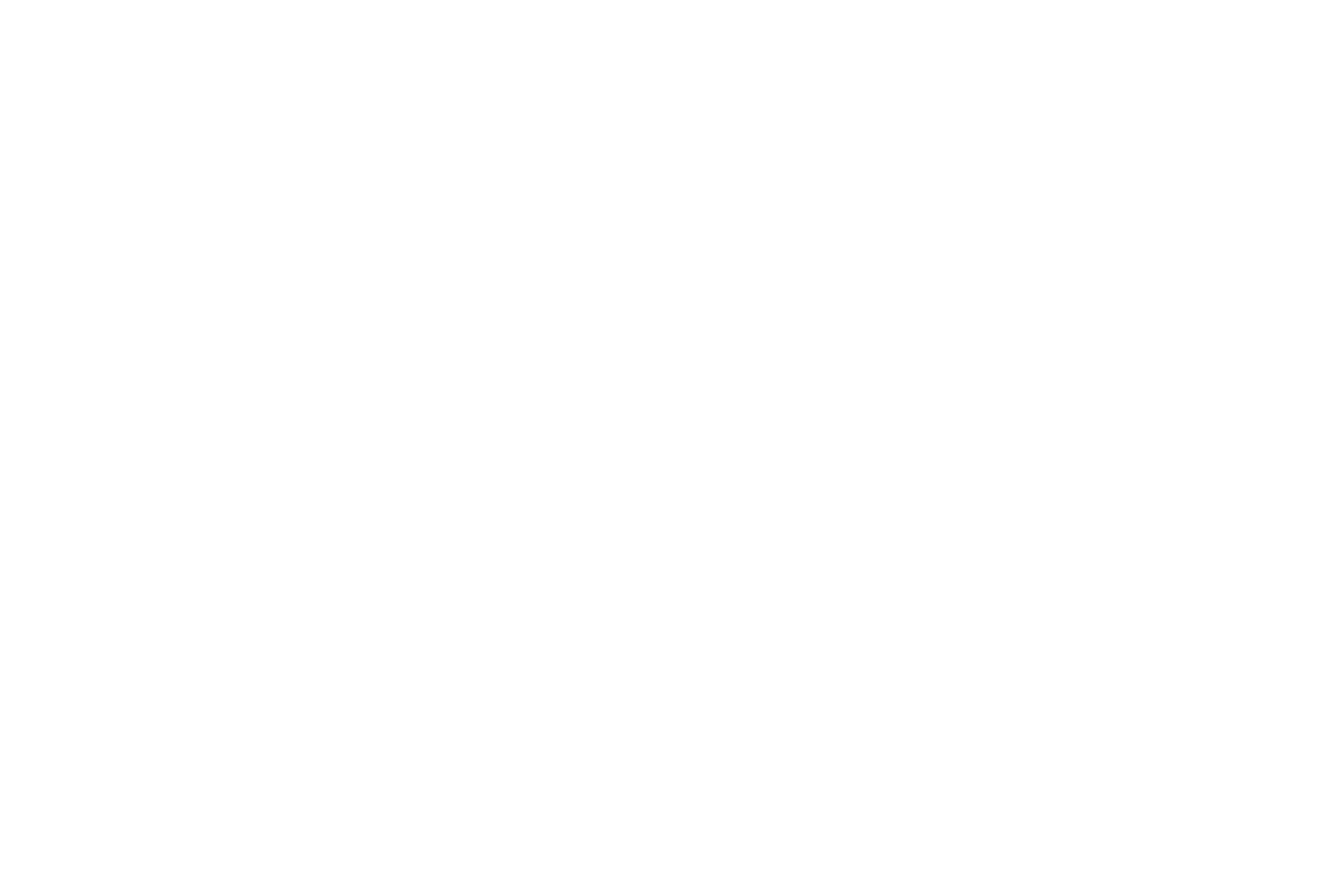 LA VOZ