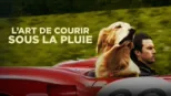 thumbnail - L'art de courir sous la pluie