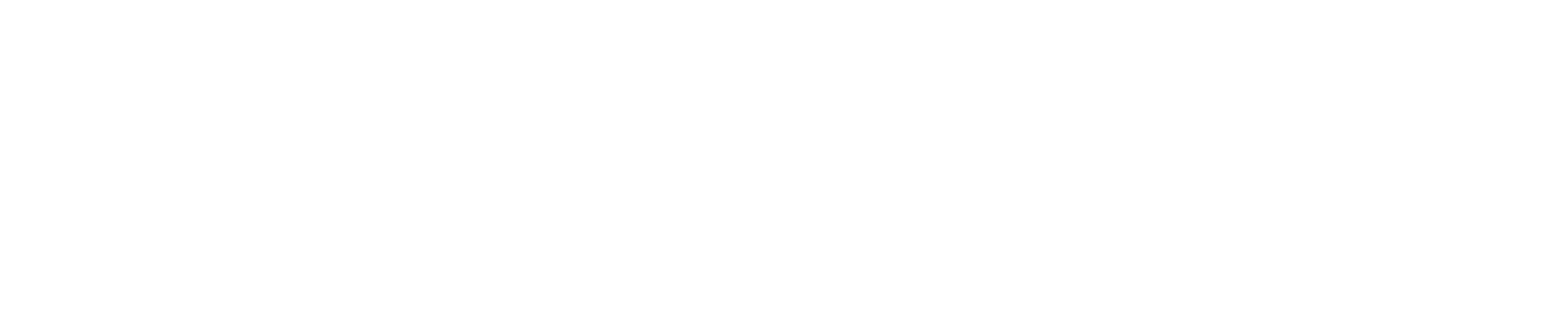 スノーフォール