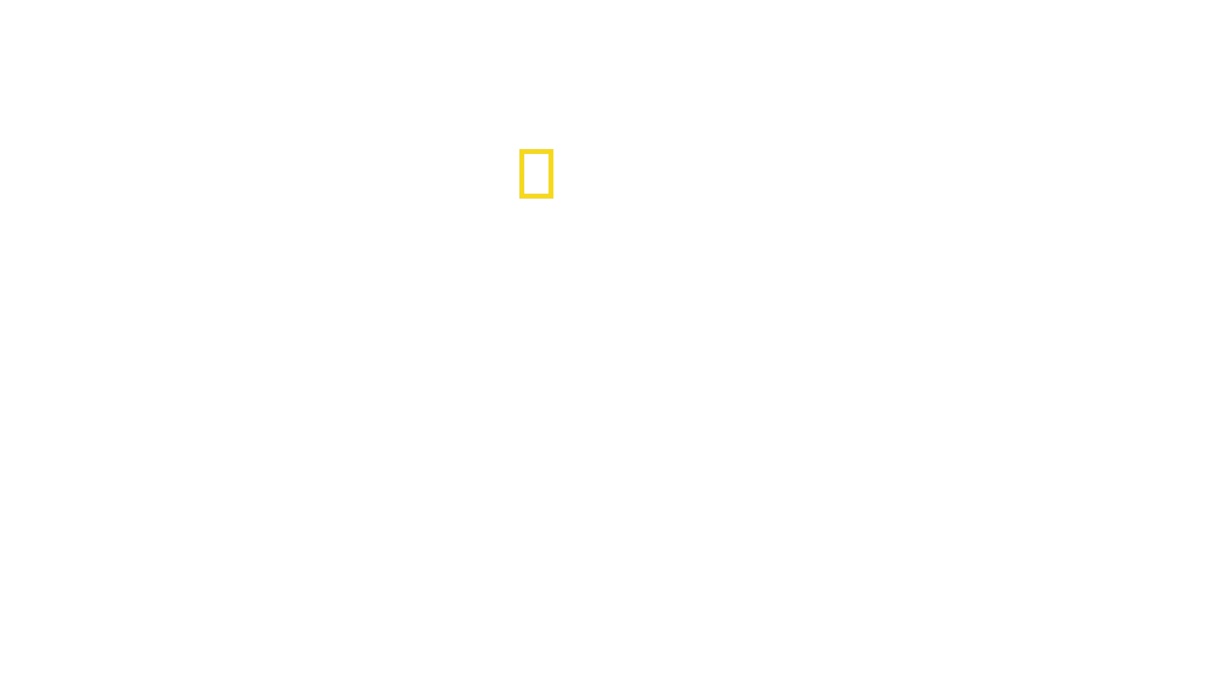 La planète des oiseaux