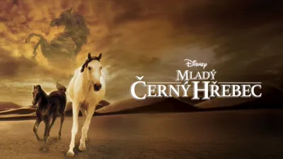 Mladý černý hřebec