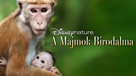 thumbnail - A majmok birodalma