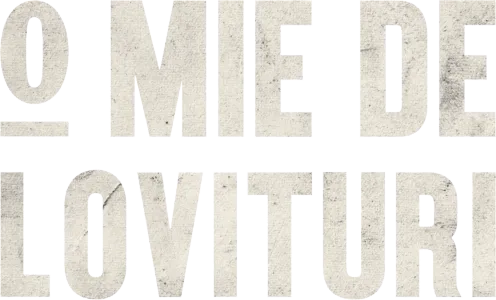 O mie de lovituri
