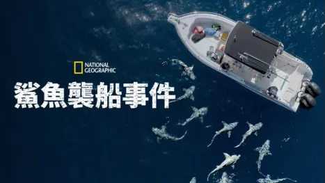 thumbnail - 鯊魚襲船事件