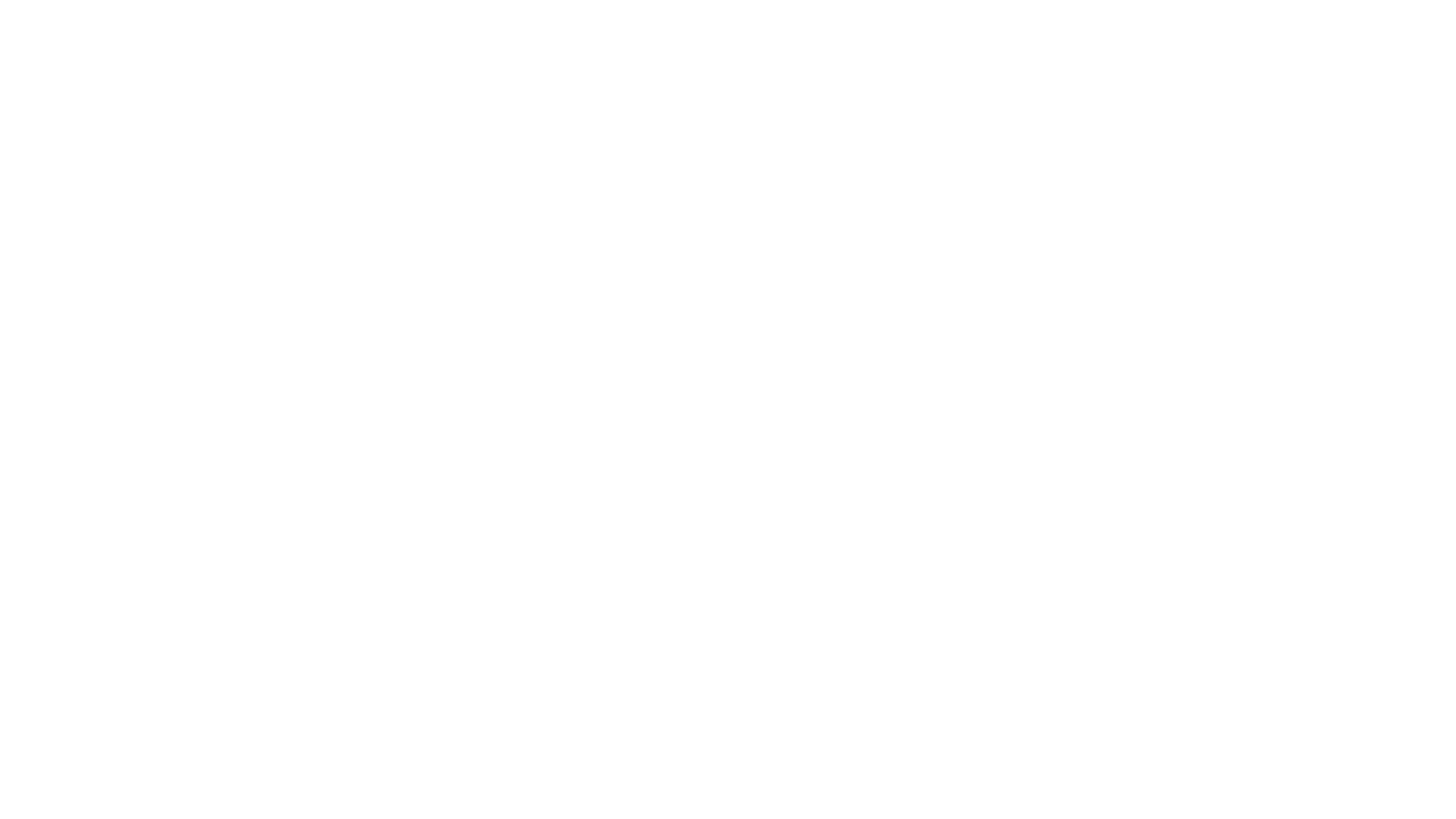 Les Protecteurs