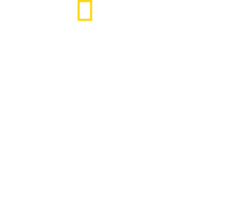 水と権力 特別篇：盗まれた資源