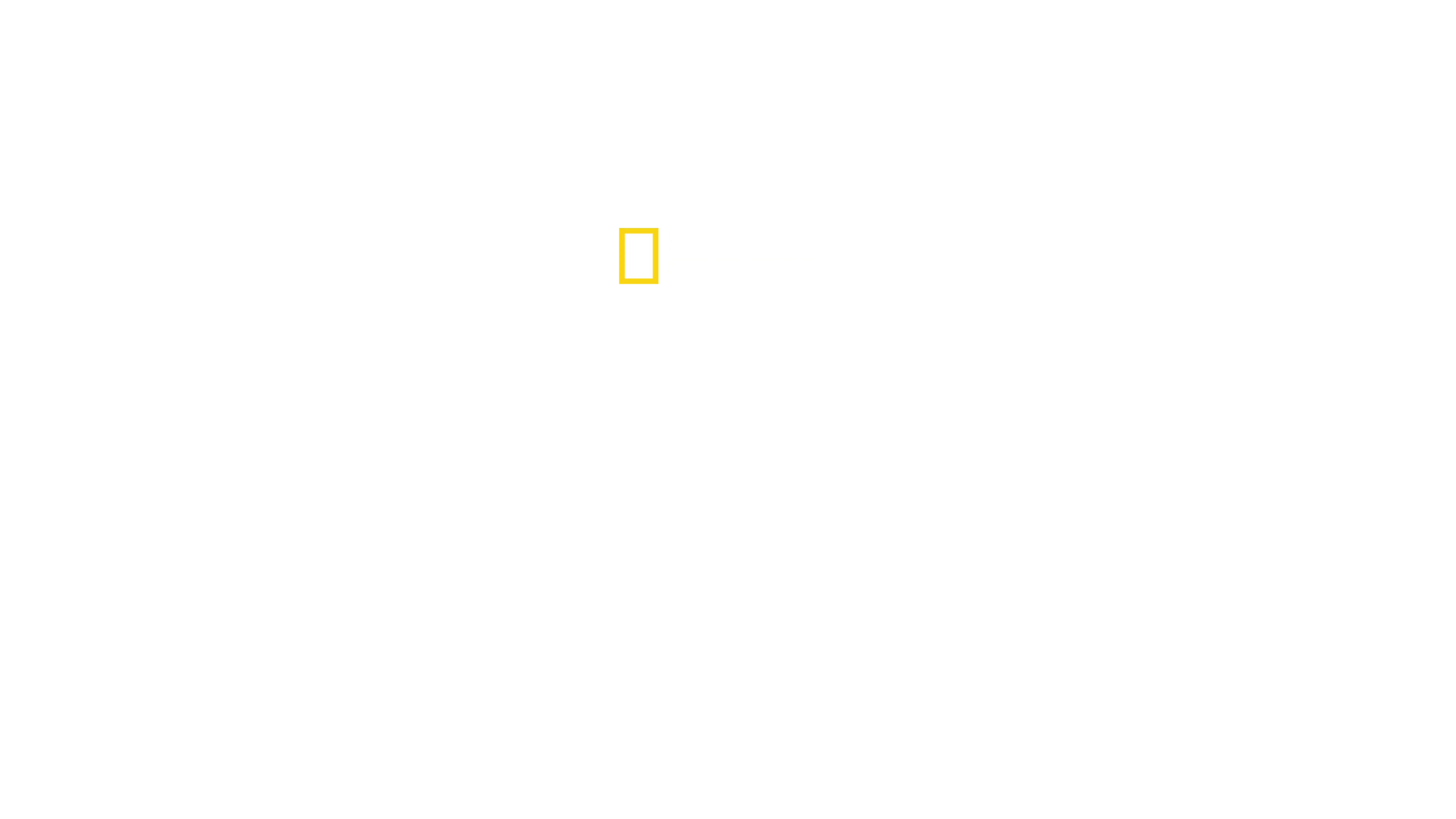 In arktische Höhen mit Alex Honnold