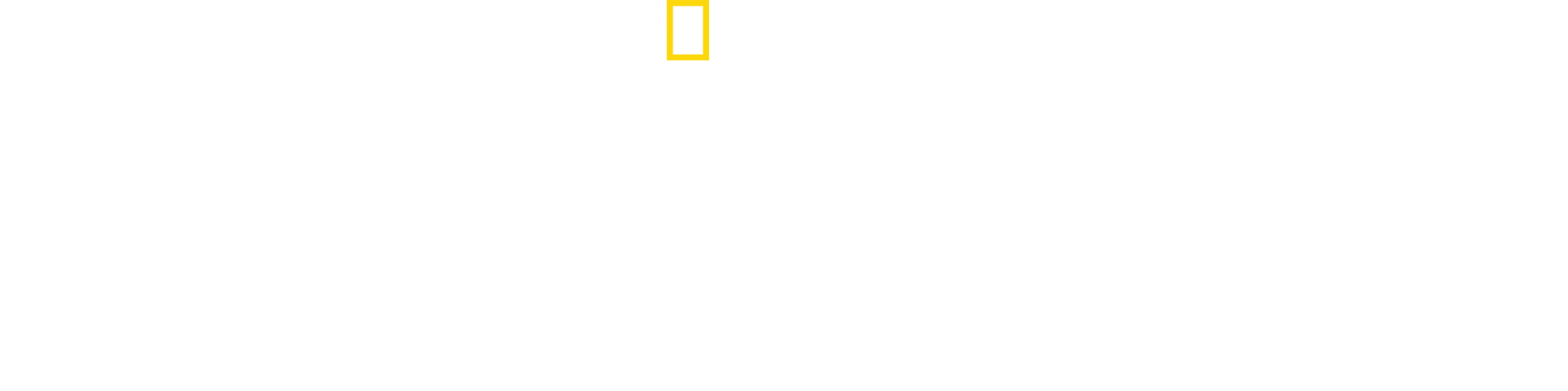 In arktische Höhen mit Alex Honnold