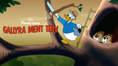 thumbnail - Gallyra ment terv
