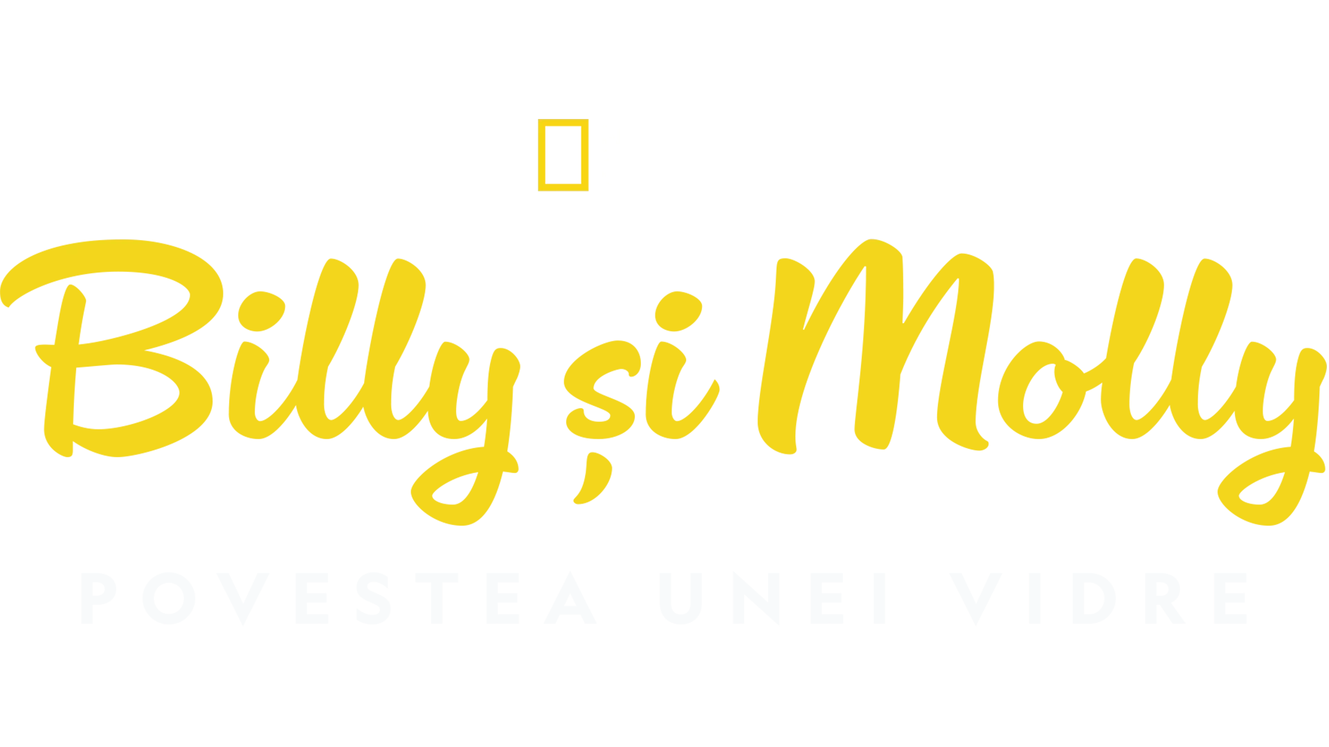 Billy și Molly: Povestea unei vidre