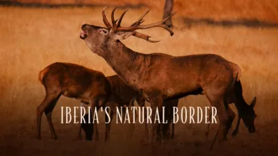Iberia's Natural Border