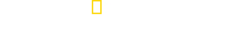 Wielki konstrukcje III Rzeszy