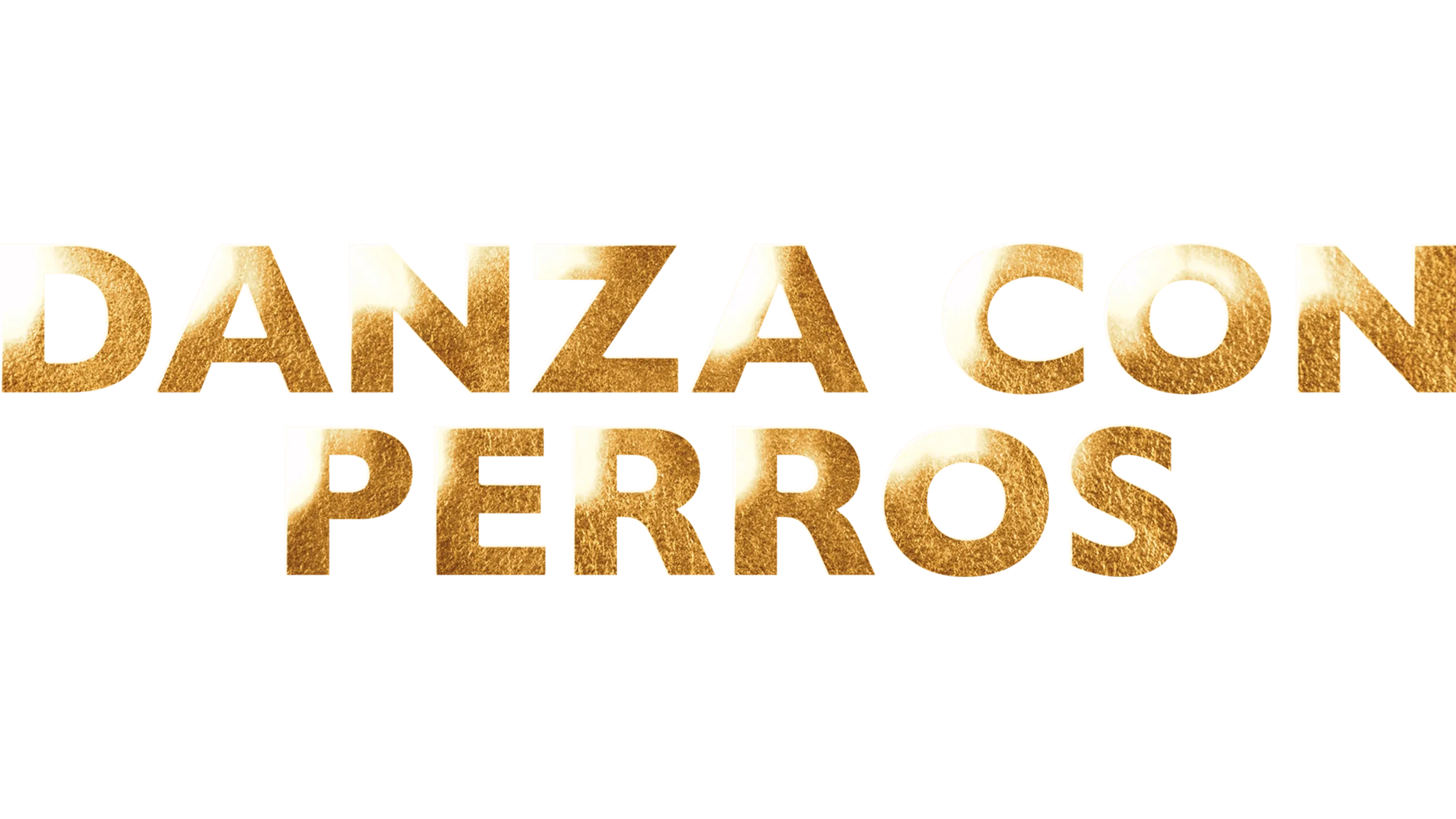 Danza con perros