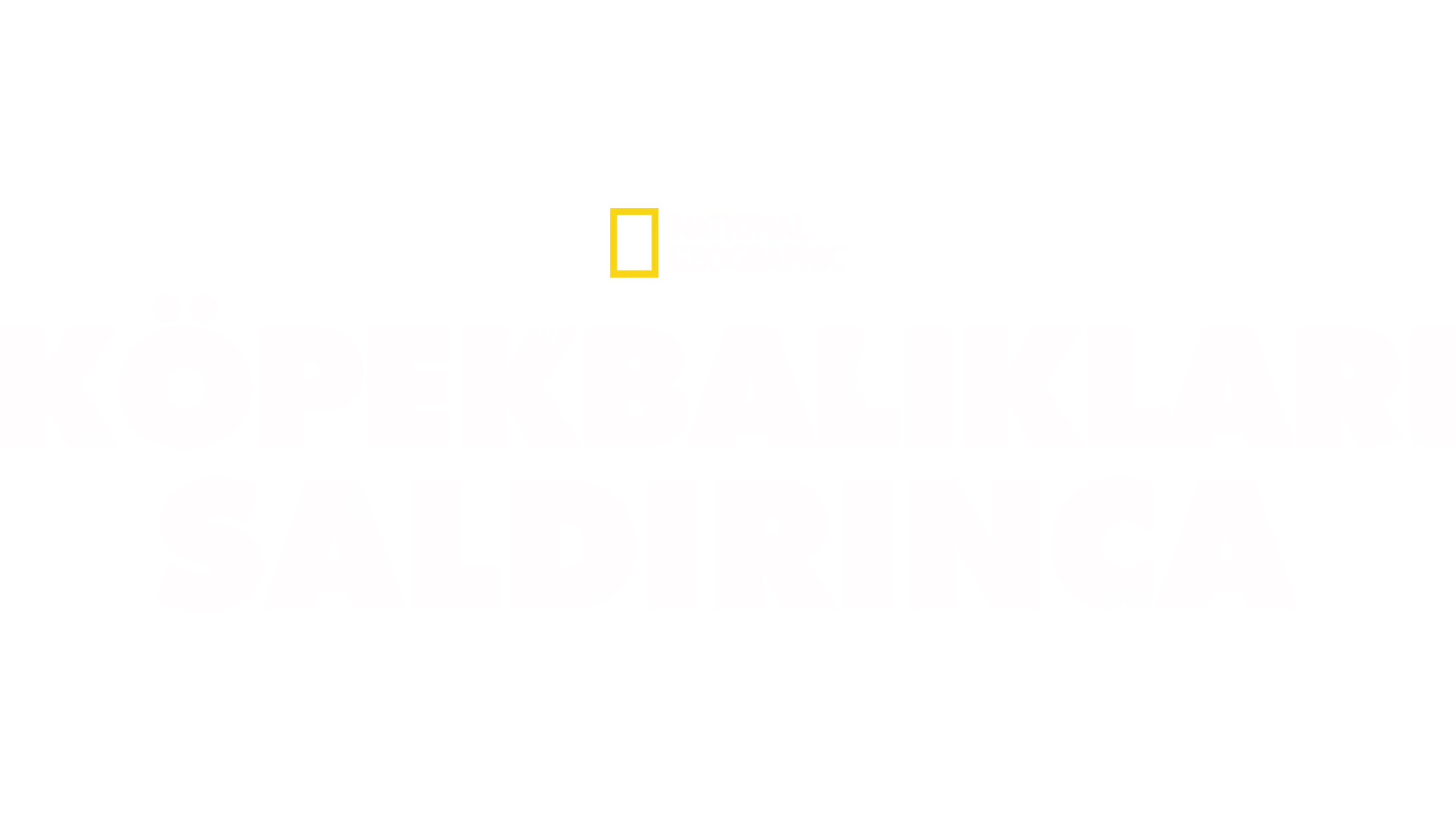 Köpekbalıkları Saldırınca