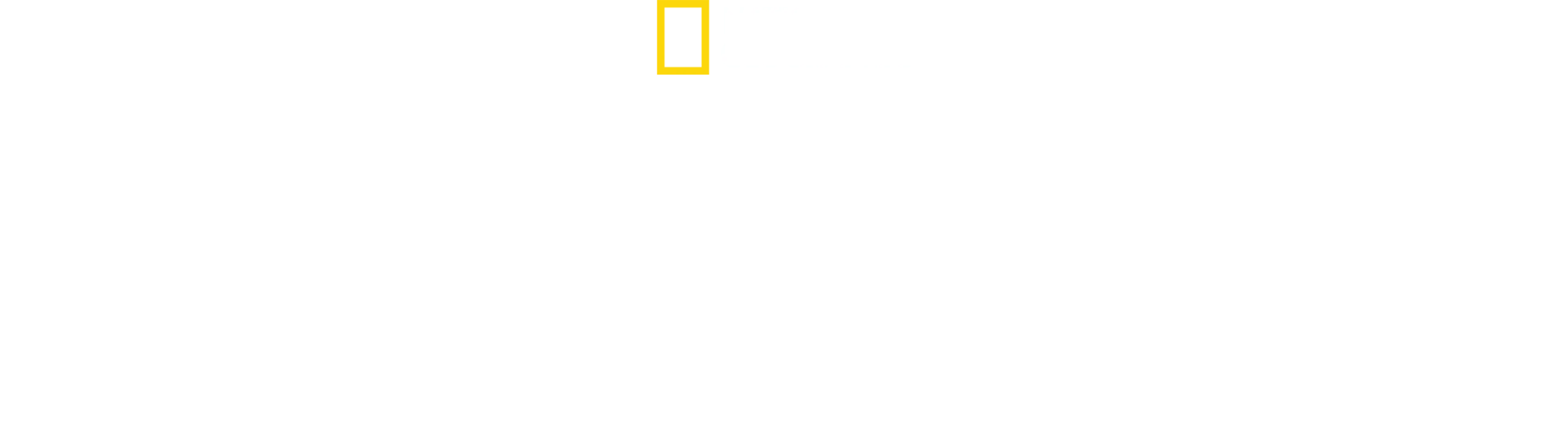 Köpekbalıkları Saldırınca