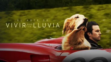 thumbnail - El arte de vivir bajo la lluvia