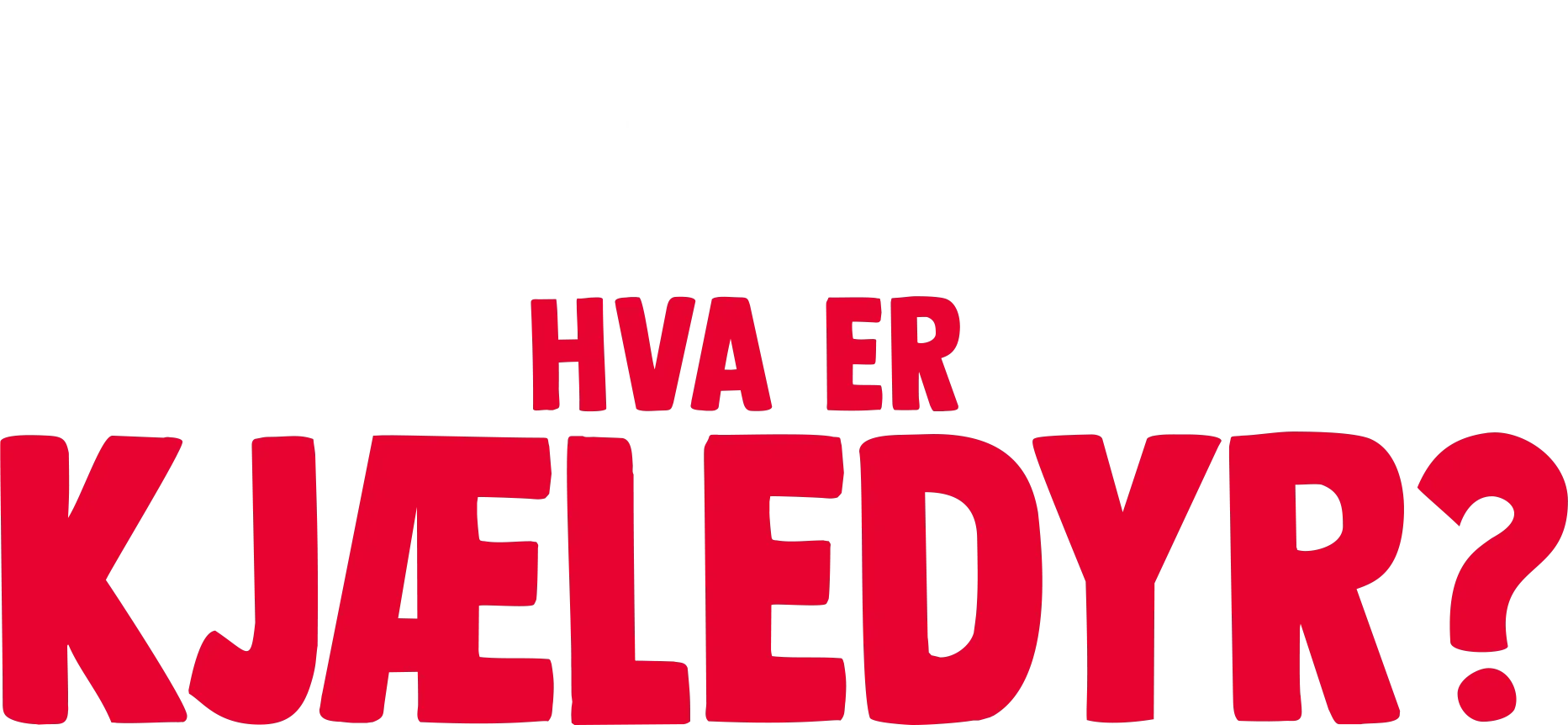 Gaffen har et spørsmål: Hva er kjæledyr?