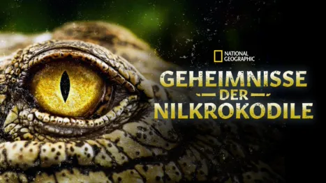 thumbnail - Geheimnisse der Nilkrokodile