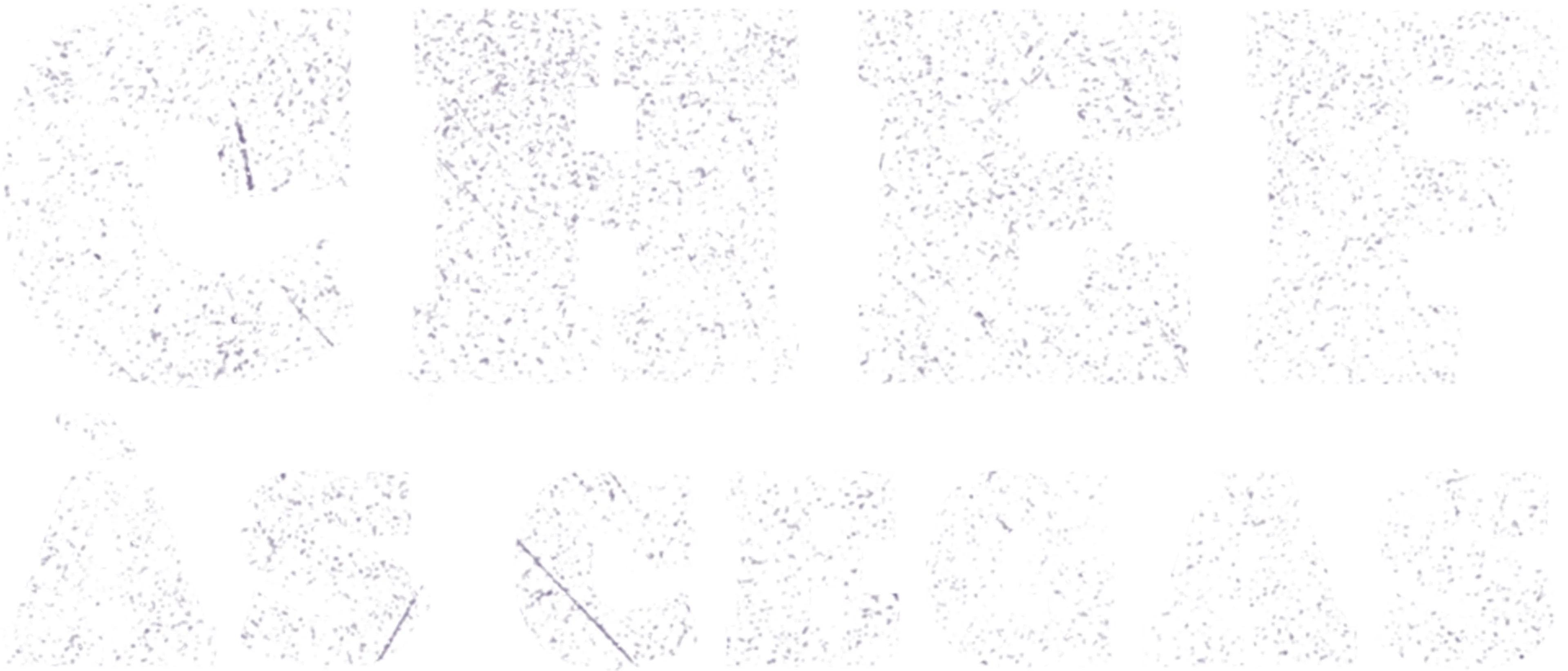 Chef às Cegas