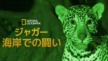 thumbnail - ジャガー：海岸での闘い