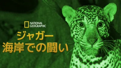 thumbnail - ジャガー：海岸での闘い