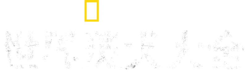 世界灵犬大全