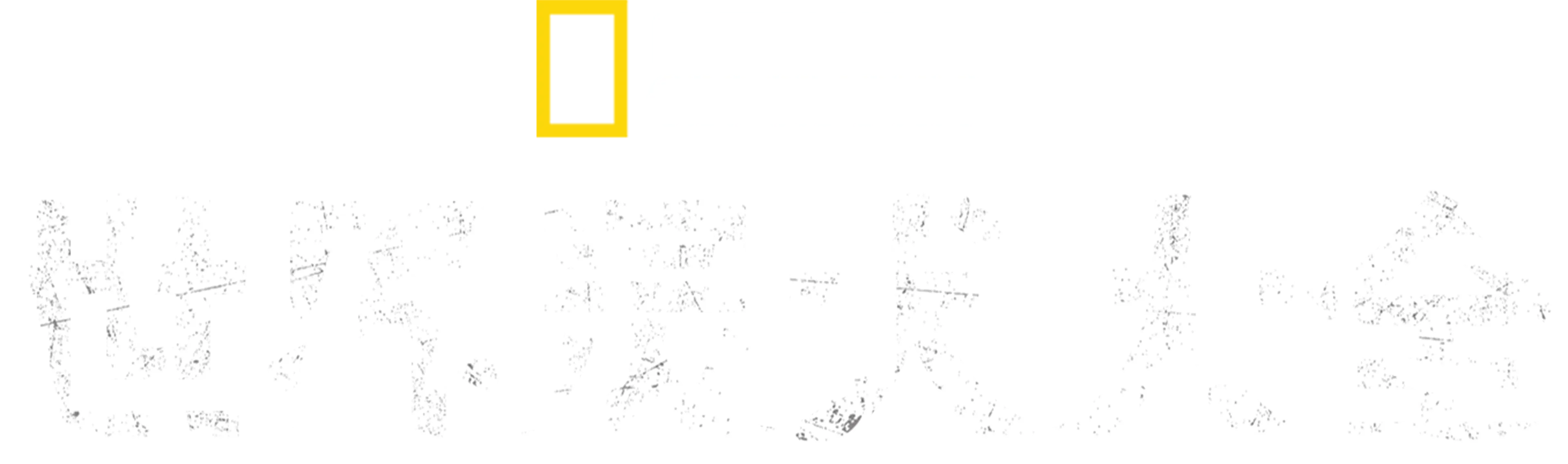 世界灵犬大全