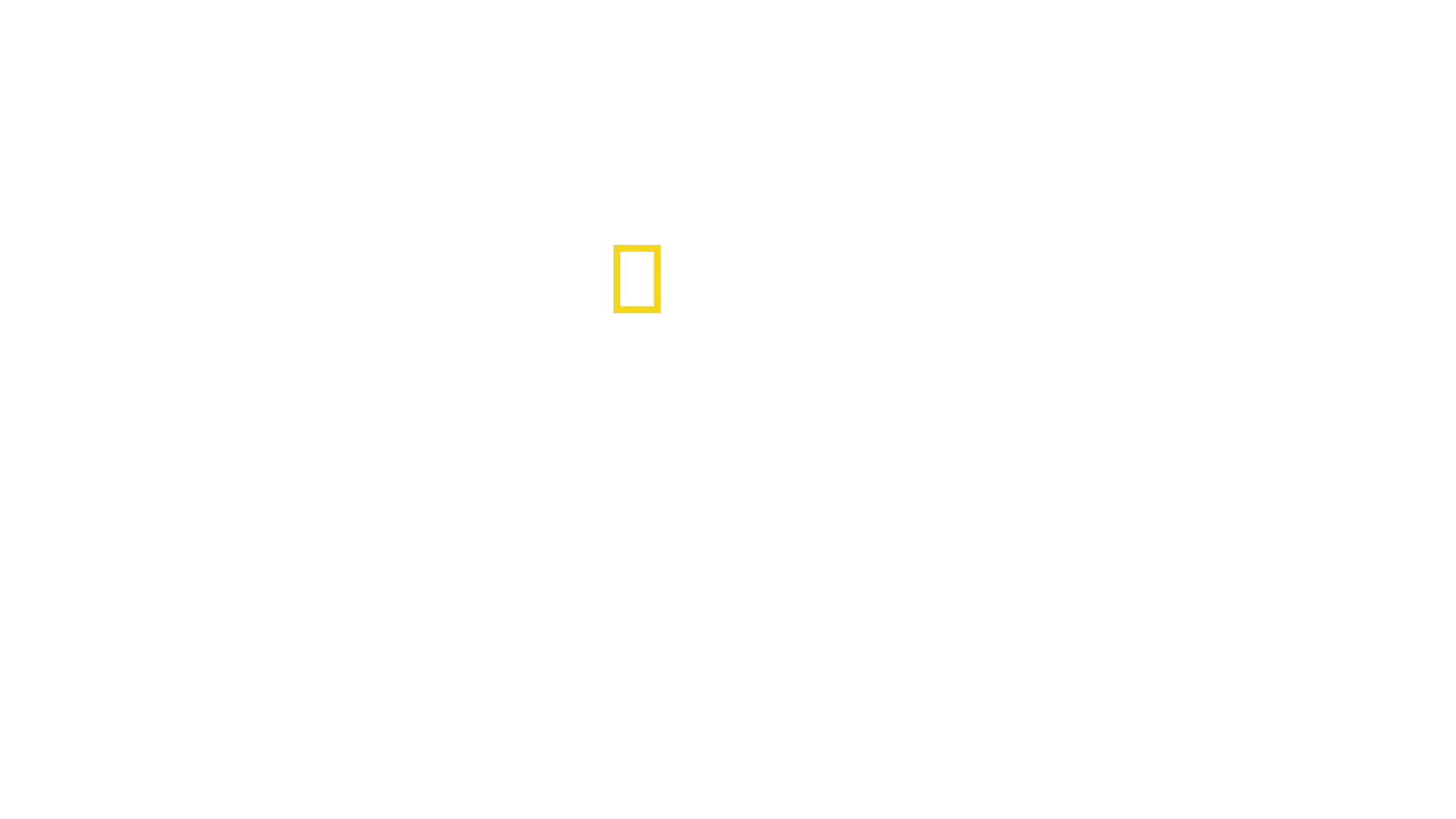 Hvalernes hemmeligheder