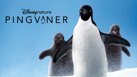 thumbnail - Pingviner