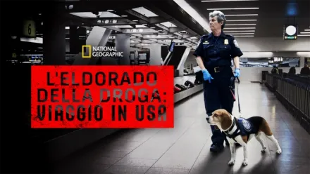 thumbnail - L’Eldorado della droga: Viaggio in USA